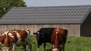 Les coûts de raccordement baissent pour le photovoltaïque Les coûts de raccordement baissent pour le photovoltaïque
