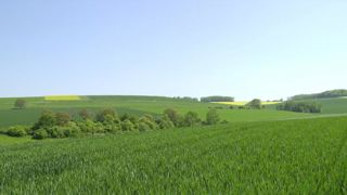 La semaine prochaine sera déjà en été La semaine prochaine sera déjà en été