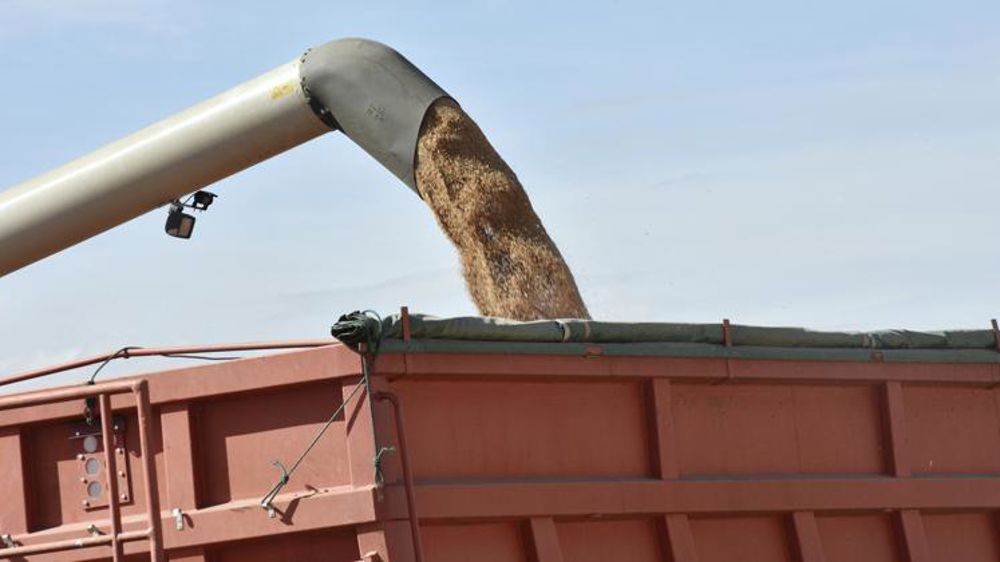 La production mondiale de céréales continue de se replier