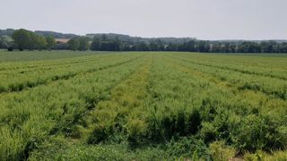 La France a acheminé 31 tonnes de semences vers l’Ukraine La France a acheminé 31 tonnes de semences vers l’Ukraine