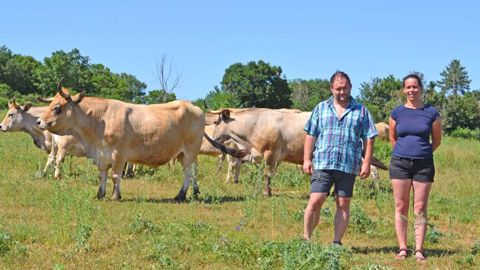 Lavande et aubracs pour un nouveau départ Lavande et aubracs pour un nouveau départ