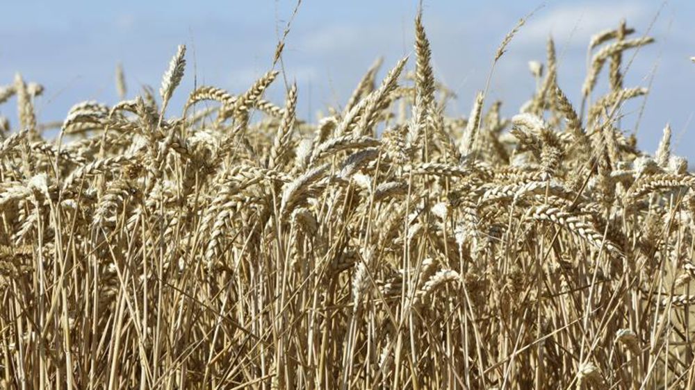 2021, année du « réveil » des matières premières agricoles