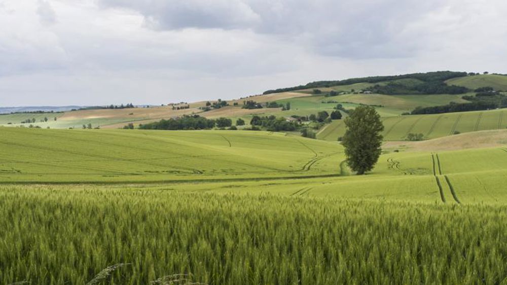 « Une proposition de loi trop faible » pour la Confédération paysanne