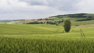« Une proposition de loi trop faible » pour la Confédération paysanne « Une proposition de loi trop faible » pour la Confédération paysanne