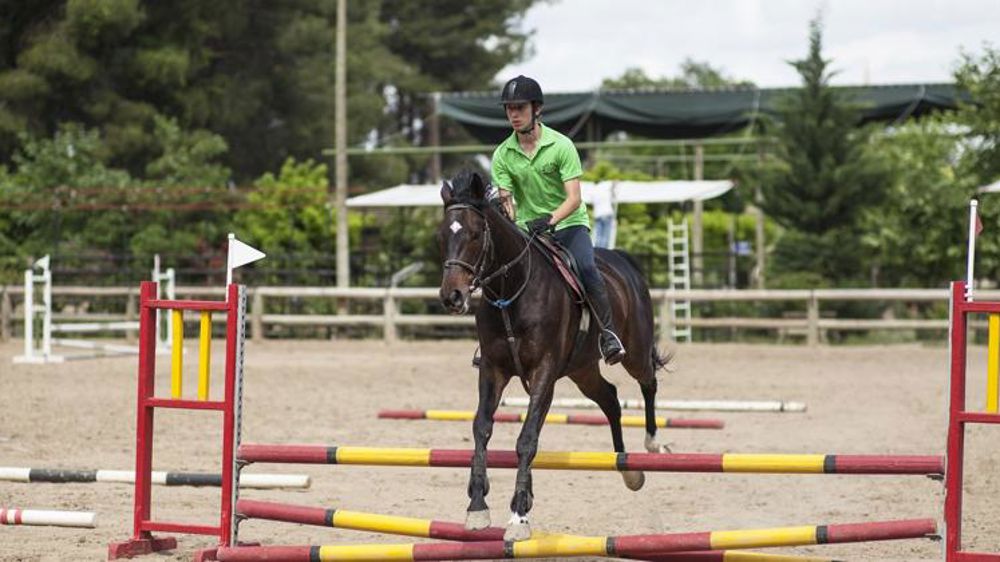Les concours équestres sont suspendus