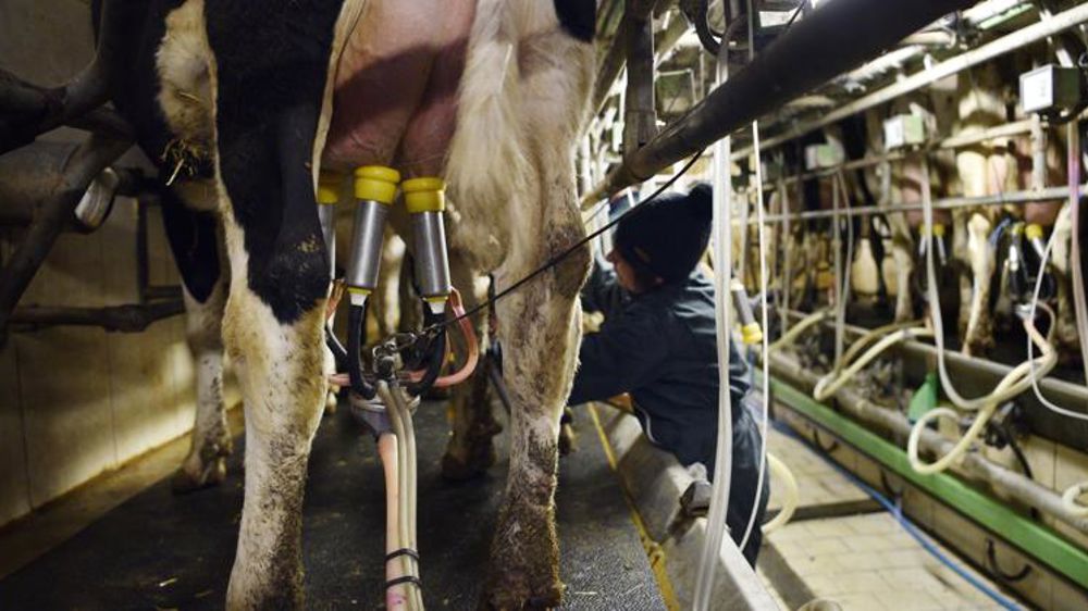 Pas de signe de dégradation du prix du lait « à court terme »