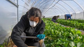 10 % de CDD supplémentaires en 2020 10 % de CDD supplémentaires en 2020