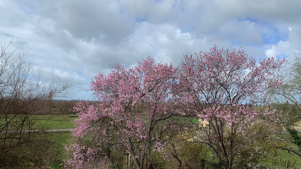Pluies intenses et vents forts prévus ce week-end