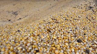 Une production mondiale de céréales en hausse Une production mondiale de céréales en hausse