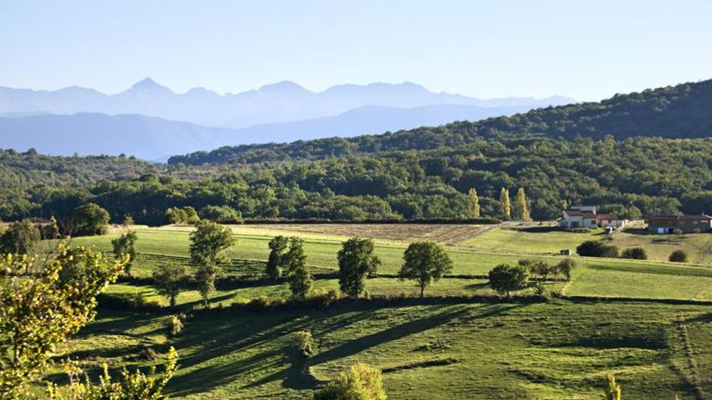 Un niveau d’exigence environnementale trop faible