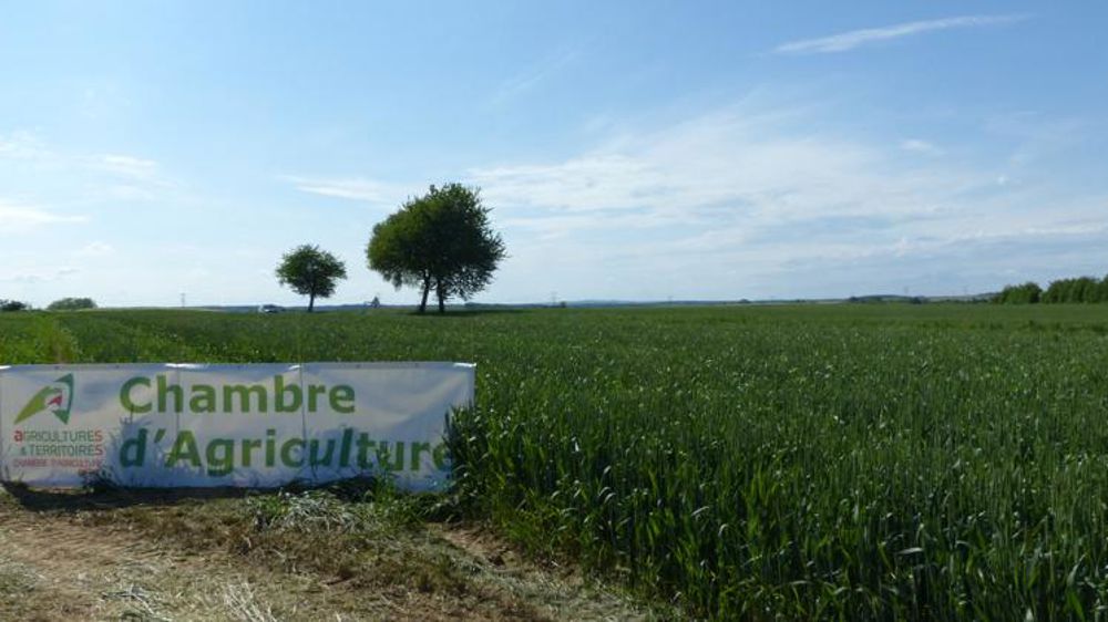 La Cour des comptes critique une nouvelle fois le réseau des chambres