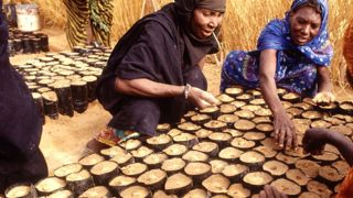 L’agriculture mondiale en souffrance sous le poids accru des catastrophes L’agriculture mondiale en souffrance sous le poids accru des catastrophes