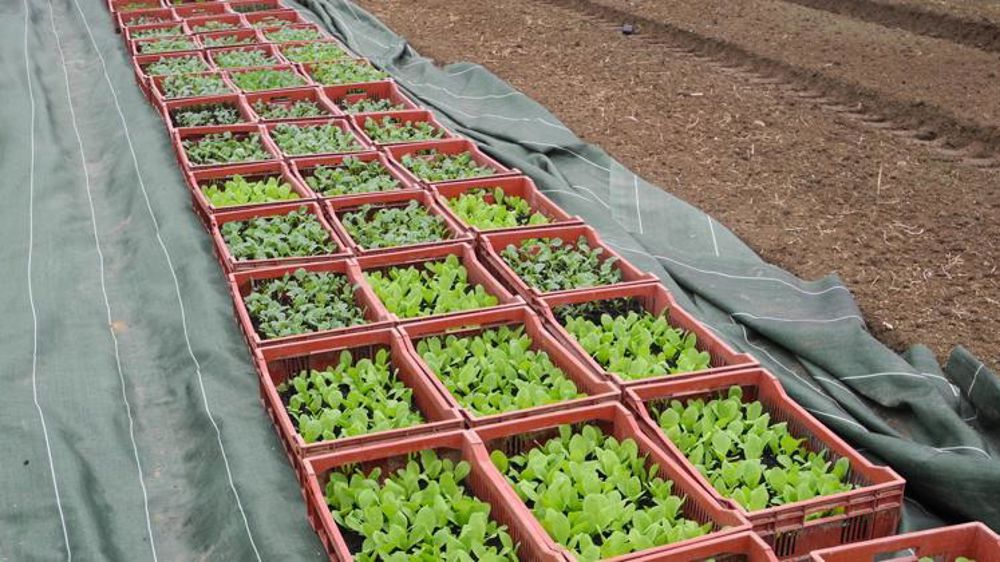 La Confédération paysanne s’inquiète des propositions pour la Pac