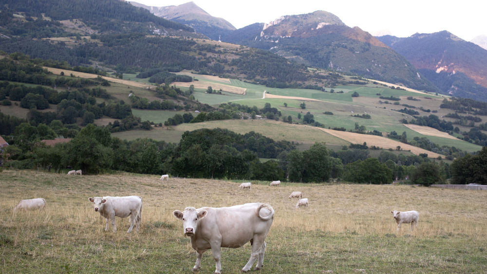 Des pistes pour développer l’agroécologie