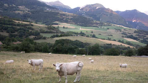 Des pistes pour développer l’agroécologie Des pistes pour développer l’agroécologie