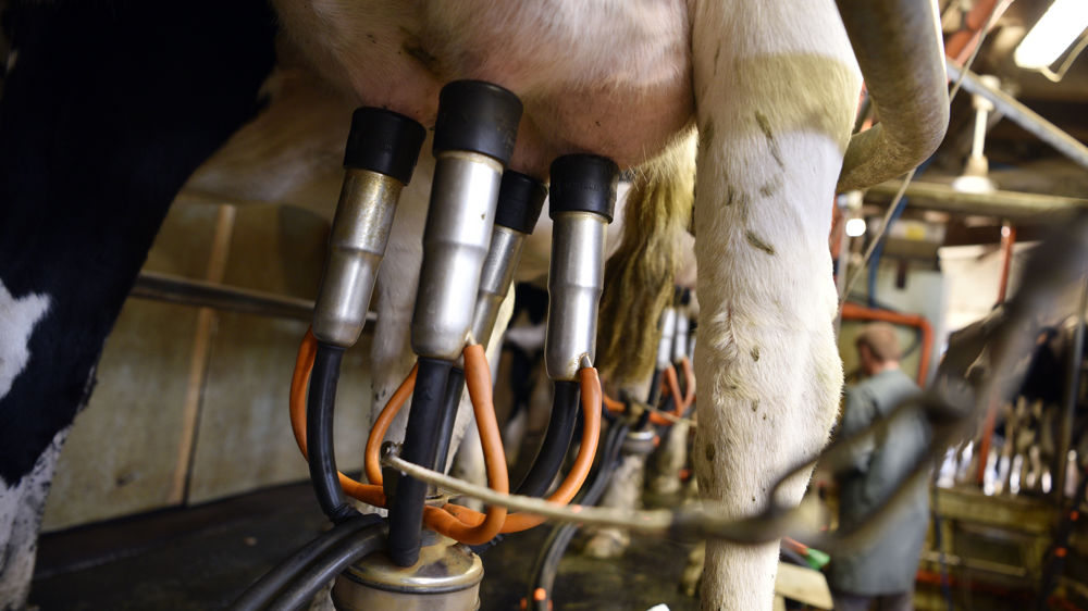 Une conjoncture « plutôt favorable » sur les marchés laitiers