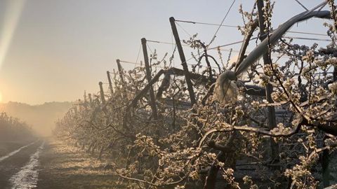 Les chambres d’agriculture se mobilisent auprès des sinistrés Les chambres d’agriculture se mobilisent auprès des sinistrés