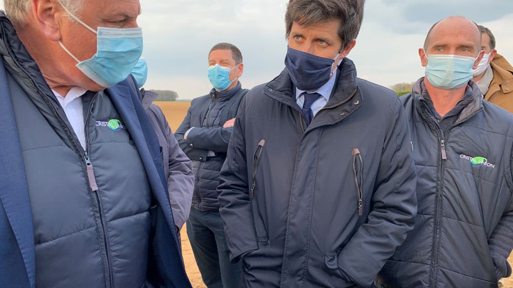 Le fonds des victimes du gel sera accessible aux grandes cultures