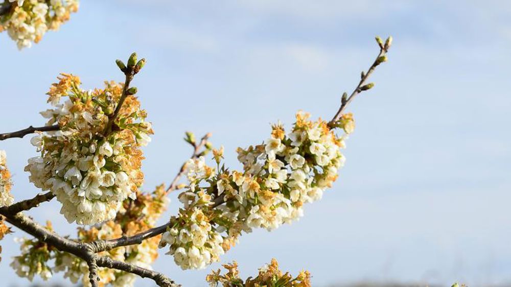Le milliard d’euros de l’État sera insuffisant selon le Modef