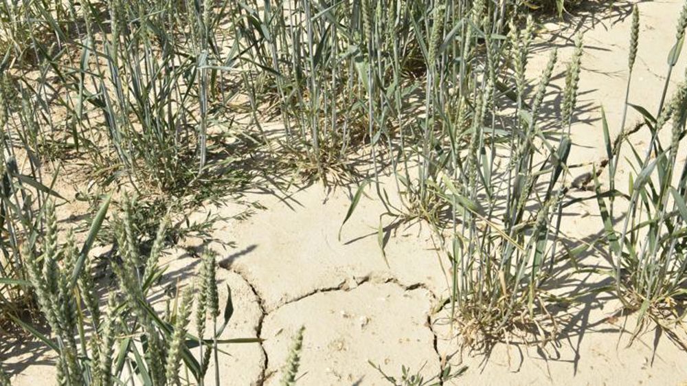 2020 est la troisième année la plus chaude jamais enregistrée