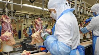 Les salariés d’abattoirs prioritaires pour la vaccination Les salariés d’abattoirs prioritaires pour la vaccination