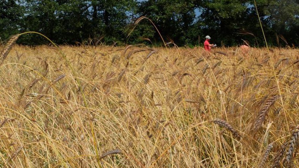 Un fonds pour préserver la biodiversité des espèces cultivées