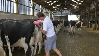 L’État met à jour ses textes sur la sélection animale L’État met à jour ses textes sur la sélection animale