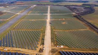 Un berger dans une des plus grandes fermes solaires de France Un berger dans une des plus grandes fermes solaires de France