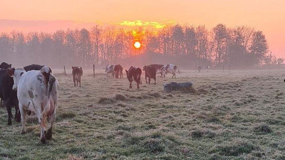 Des records de froid pour un début de mai