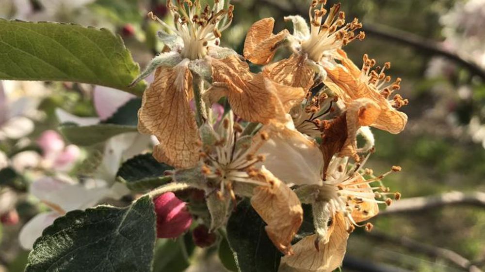 20 millions d’euros aux mains des préfets