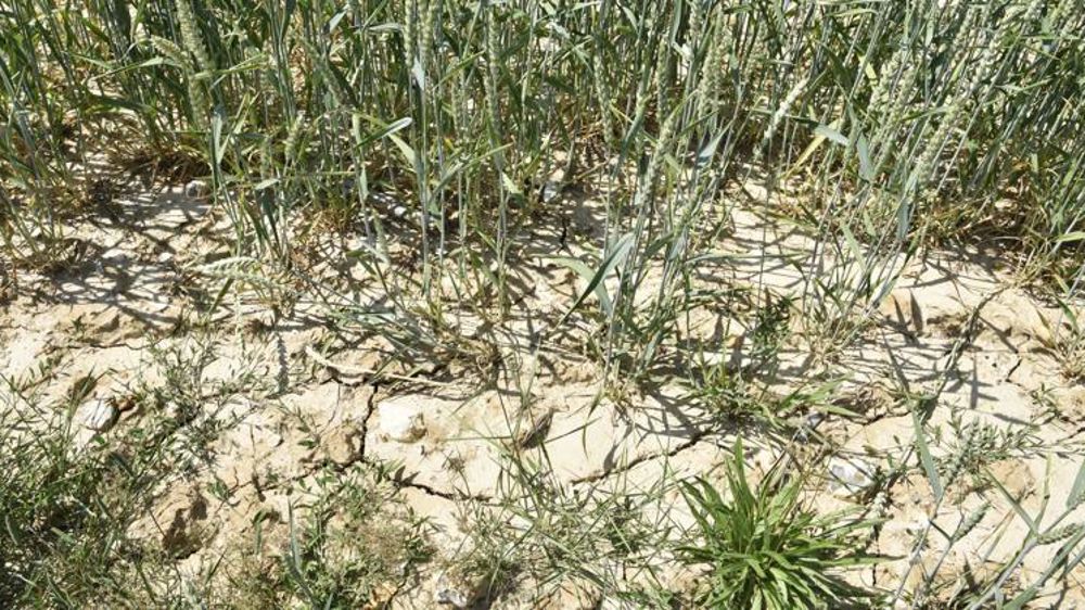 « Les assureurs ont du mal à être au rendez-vous du défi climatique »