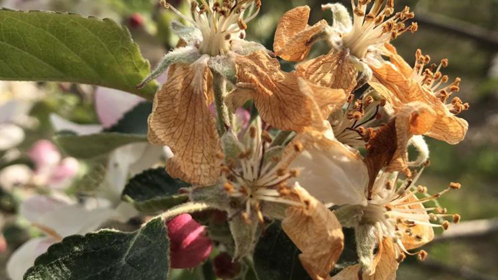 La répartition par Région des crédits du fonds d’urgence dévoilée