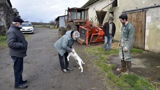 Augmenter toutes les petites retraites demande deux milliards d’euros Augmenter toutes les petites retraites demande deux milliards d’euros