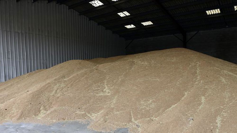 Correction baissière en céréales et colza