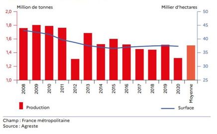 Évolution de la production et des surfaces de pommes entre 2008 et 2020 en France © Agreste