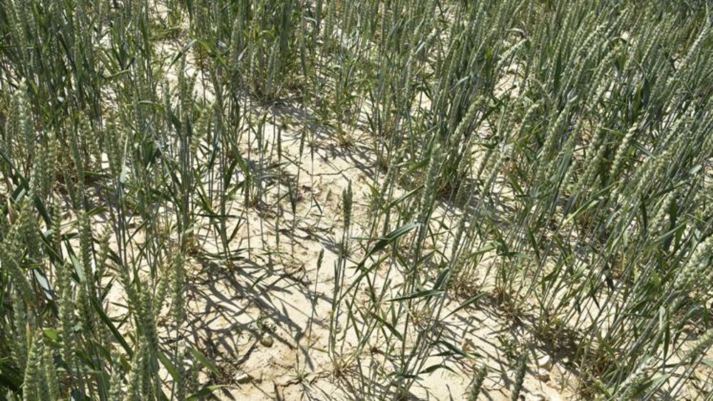 Les premiers arbitrages sur la gestion des risques prévus cet été