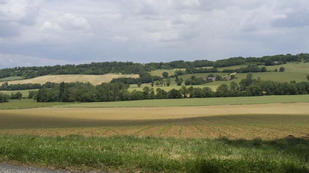 Pour la bio, la France mise tout sur les aides à la conversion