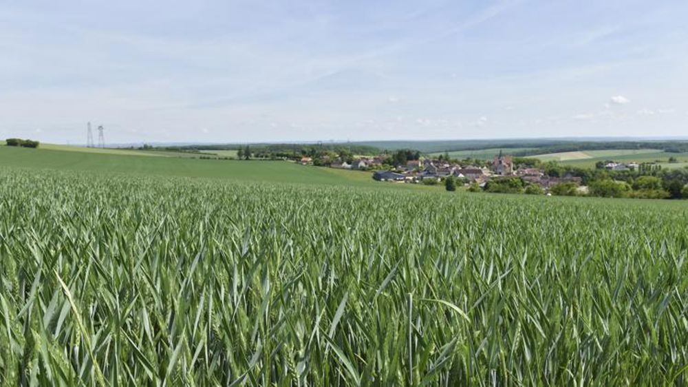 La Coordination rurale demande des actes sur les importations