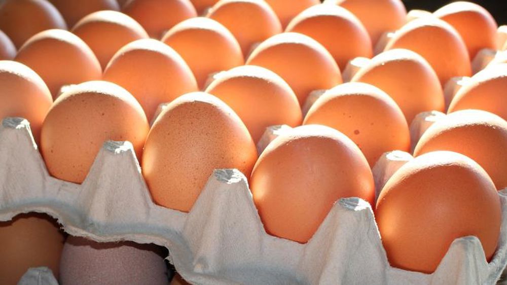 Un an de prison ferme dans l’affaire des œufs au fipronil