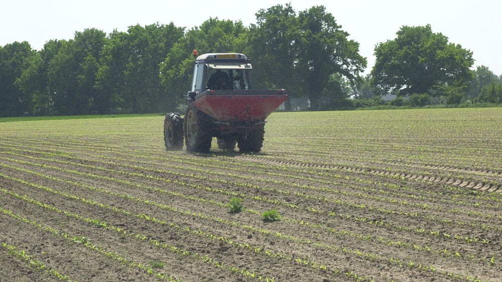 Le Sénat propose un « plan Eco’Azot »