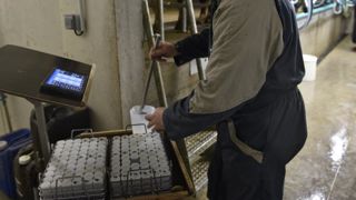 Eilyps et le groupement technique vétérinaire s’associent Eilyps et le groupement technique vétérinaire s’associent