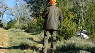 Combien de chasseurs restera-t-il en 2040 ? Combien de chasseurs restera-t-il en 2040 ?