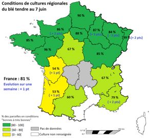 L’état du blé tendre est resté stable ou s’est amélioré (sauf en Lorraine) dans la semaine du 1er au 7 juin 2021. © La France Agricole, d’après les données Céré’Obs de FranceAgriMer
