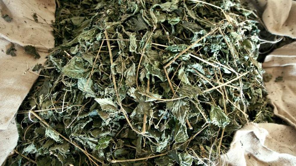 Le cahier des charges des PNPP est publié