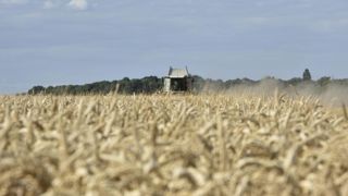 La mauvaise récolte céréalière pénalise les résultats de 2020 La mauvaise récolte céréalière pénalise les résultats de 2020