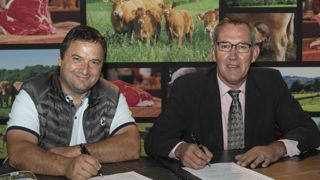 Limousin Promotion et Le Veau Sous La Mère se rapprochent Limousin Promotion et Le Veau Sous La Mère se rapprochent