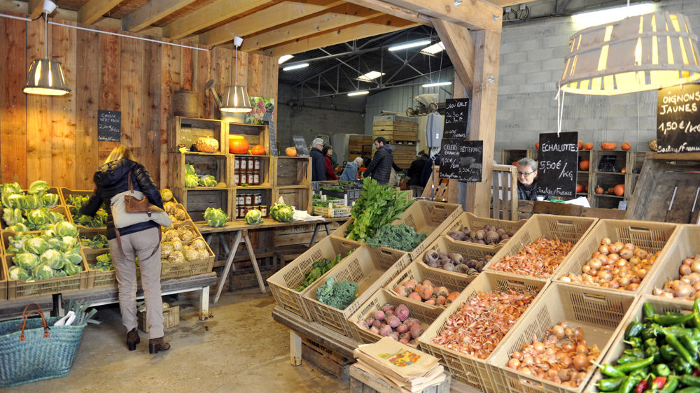 86 nouveaux projets alimentaires territoriaux