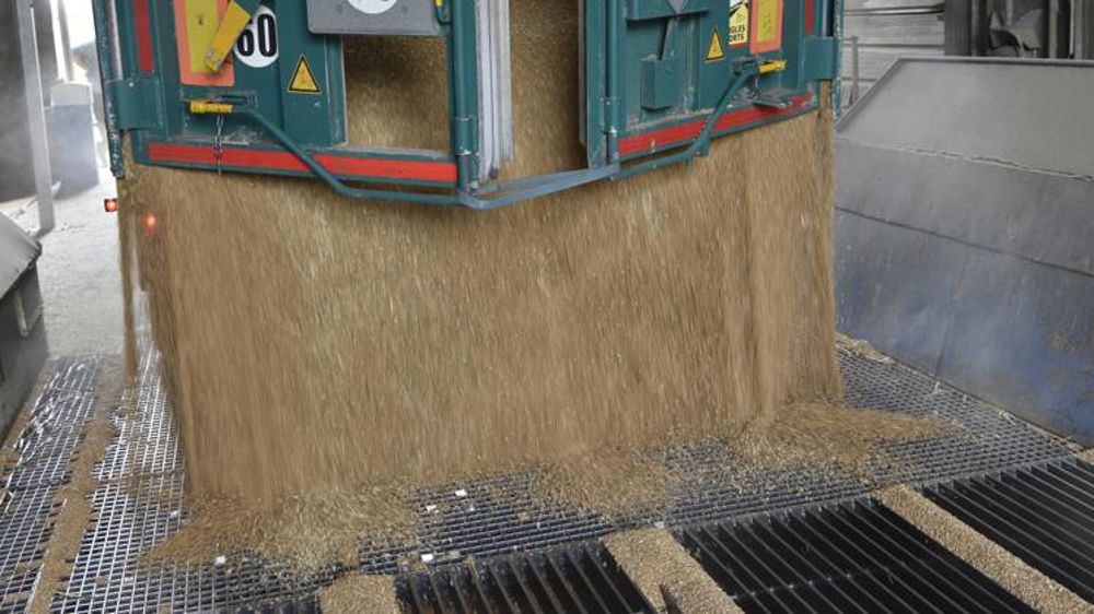 Les céréales tirent les prix alimentaires à la baisse