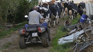 Le contrôle technique des quads suspendu « jusqu’à nouvel ordre » Le contrôle technique des quads suspendu « jusqu’à nouvel ordre »
