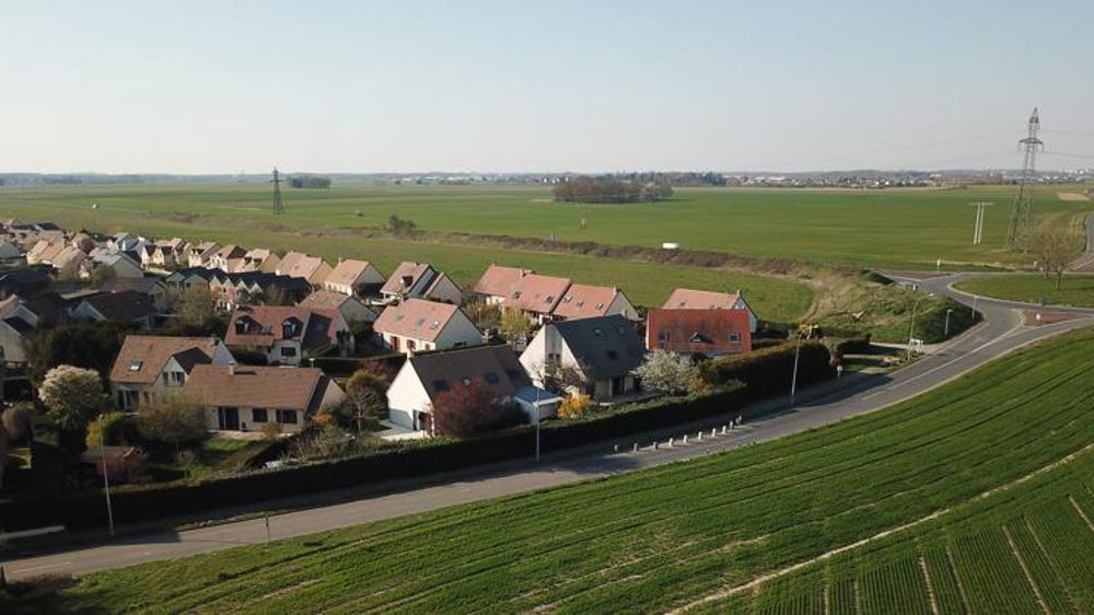 Neuf phytos fréquemment quantifiés dans l’air